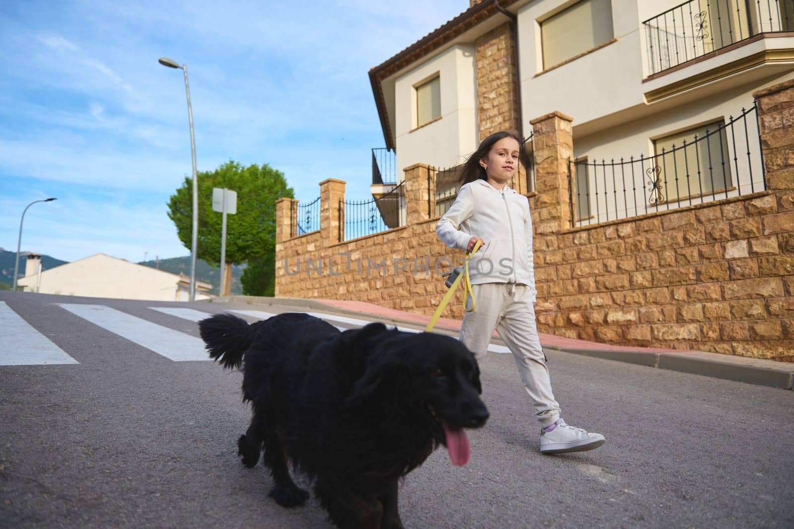 Caucasian kid girl walking her dog on the city street. Adorable kid in white sportswear, feeling happiness while spending time with her pedigree purebred cocker spaniel outdoors. Playing pets concept