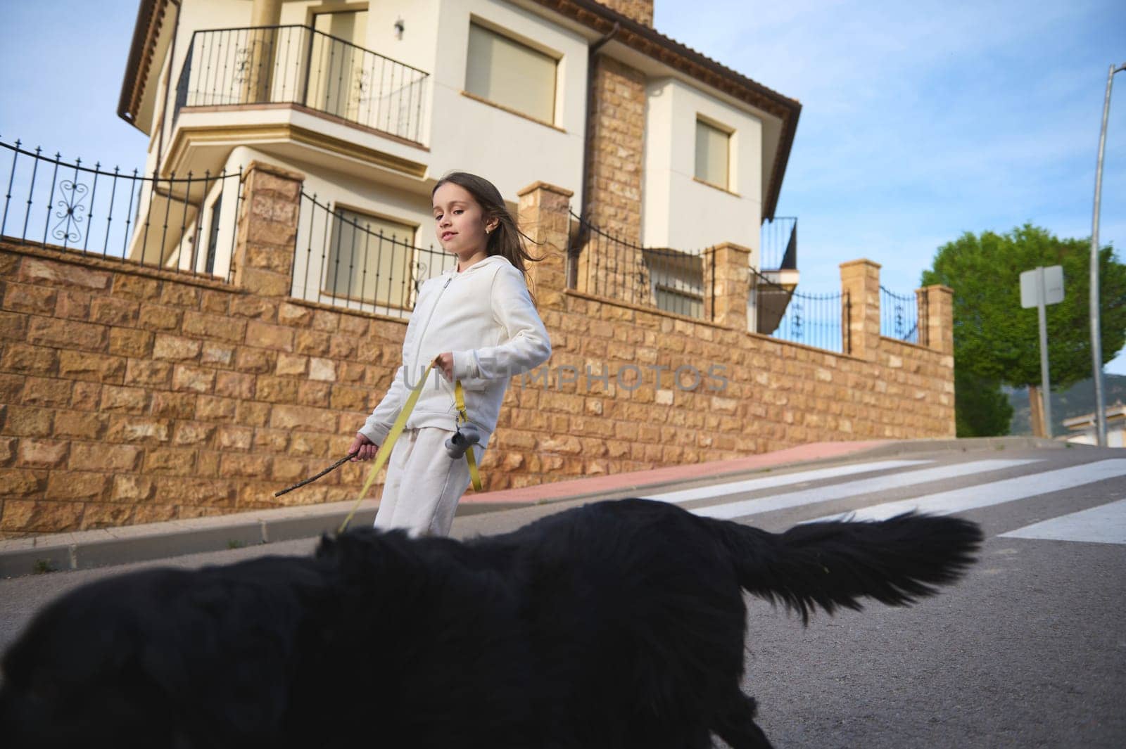 Little kid girl walking her dog on the city street. Adorable kid enjoying spending time with her pedigree purebred cocker spaniel, have with with her pet outdoors. Playing pets and people concept by artgf