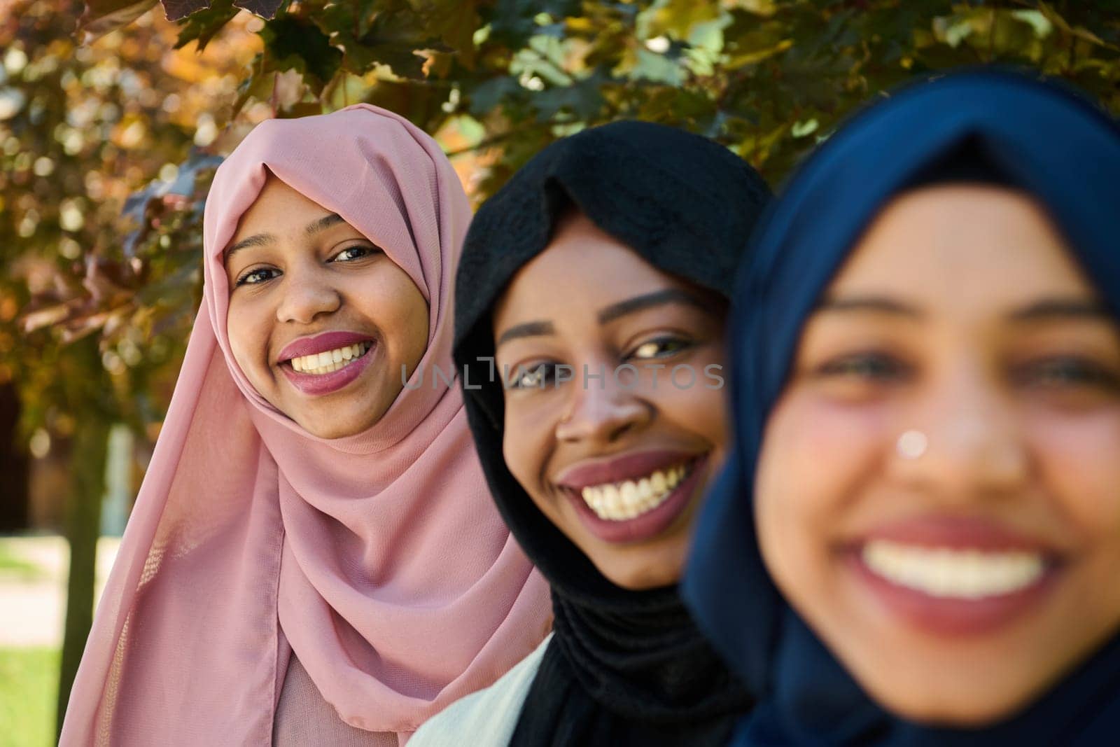 Sisterhood Snapshot: Middle Eastern Muslim Women in Hijab Capturing Unity by dotshock