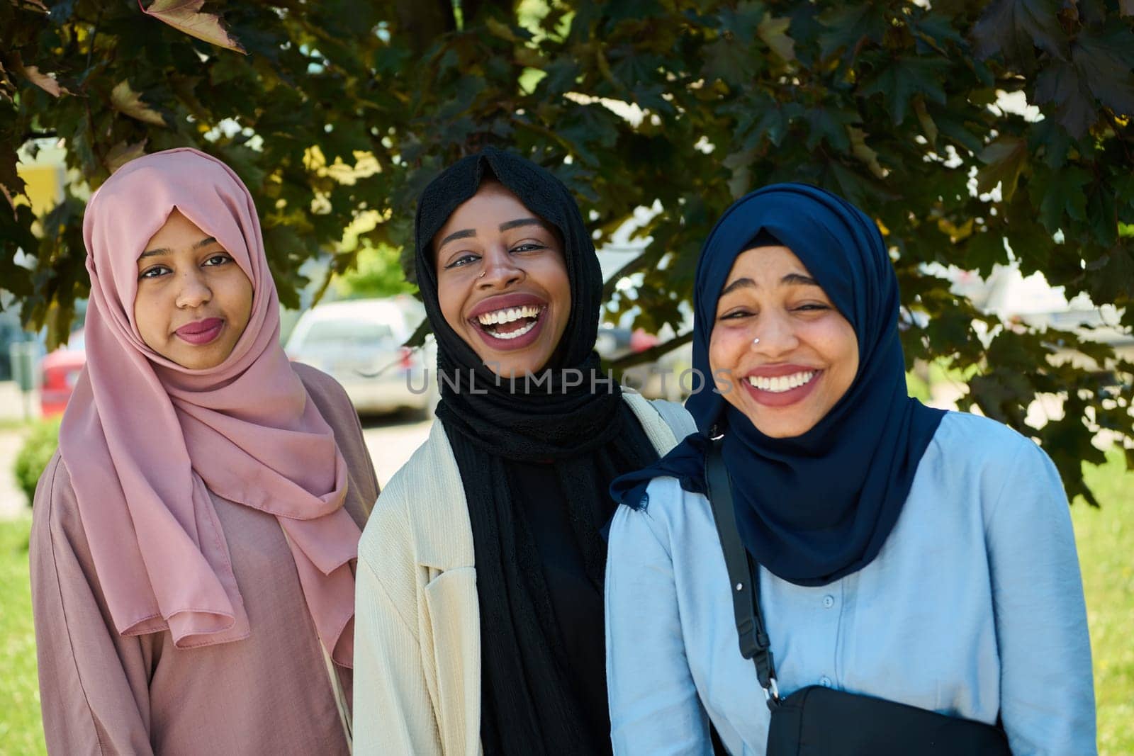 A symbolic portrayal of unity and sisterhood as a group of Middle Eastern Muslim women, wearing hijabs, come together for a collective photograph