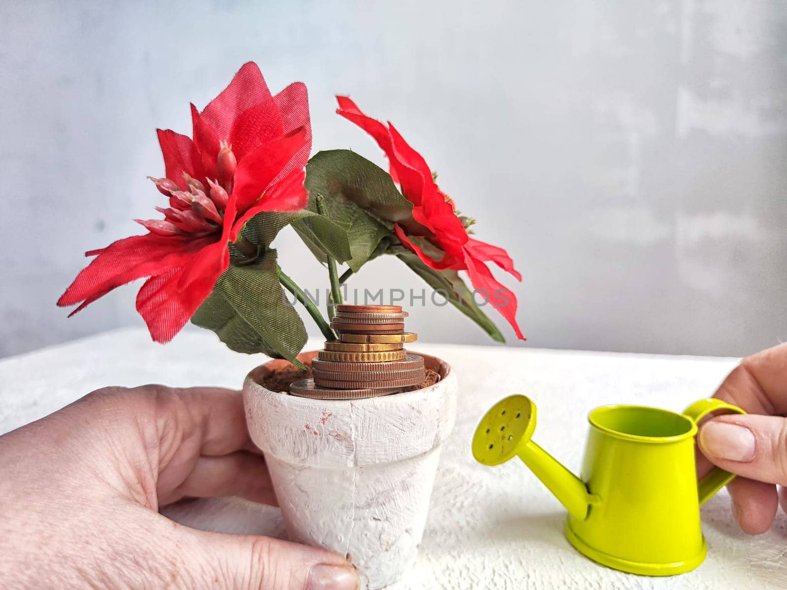 A hand holds a small watering can, tilting it towards a blooming red flower growing out of a pot filled with stacked coins, suggesting the nurturing of financial growth or investment