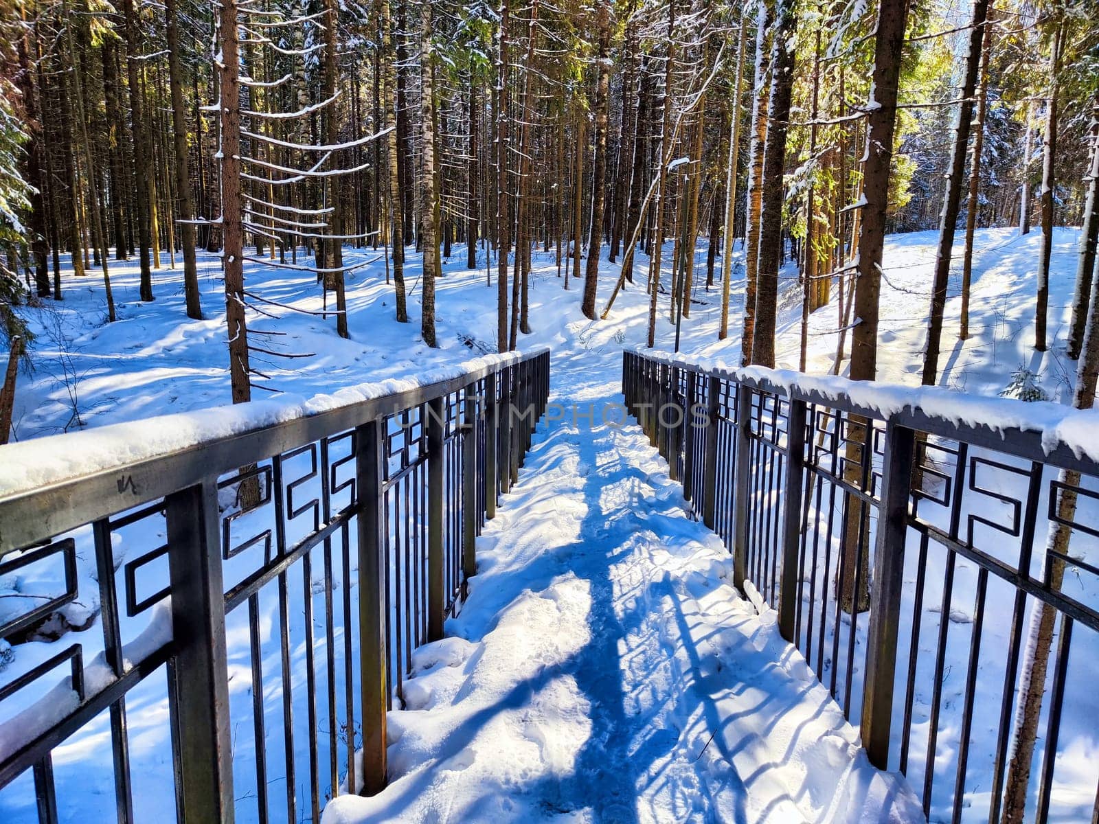 Snow-Covered Bridge in a Pine Forest on a Sunny Winter Day. A bridge blanketed with snow winds through a pine forest under clear blue sky