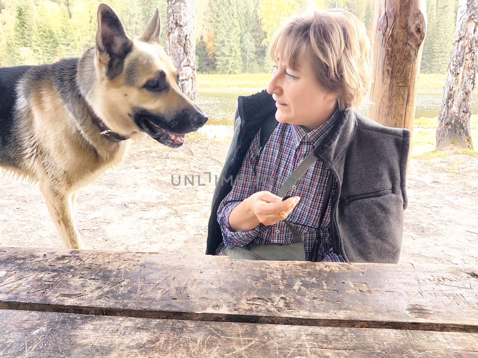 Girl treats a German Shepherd dog at a wooden table in nature. Mature middle aged woman with a pet