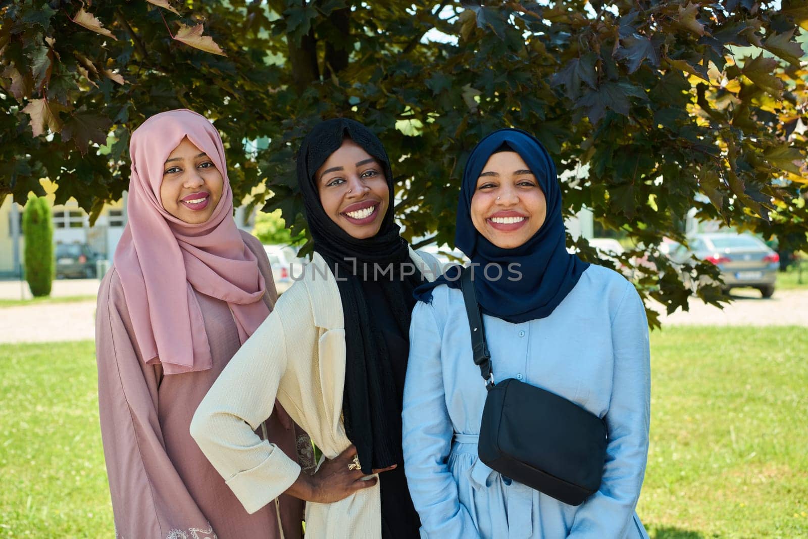 A symbolic portrayal of unity and sisterhood as a group of Middle Eastern Muslim women, wearing hijabs, come together for a collective photograph