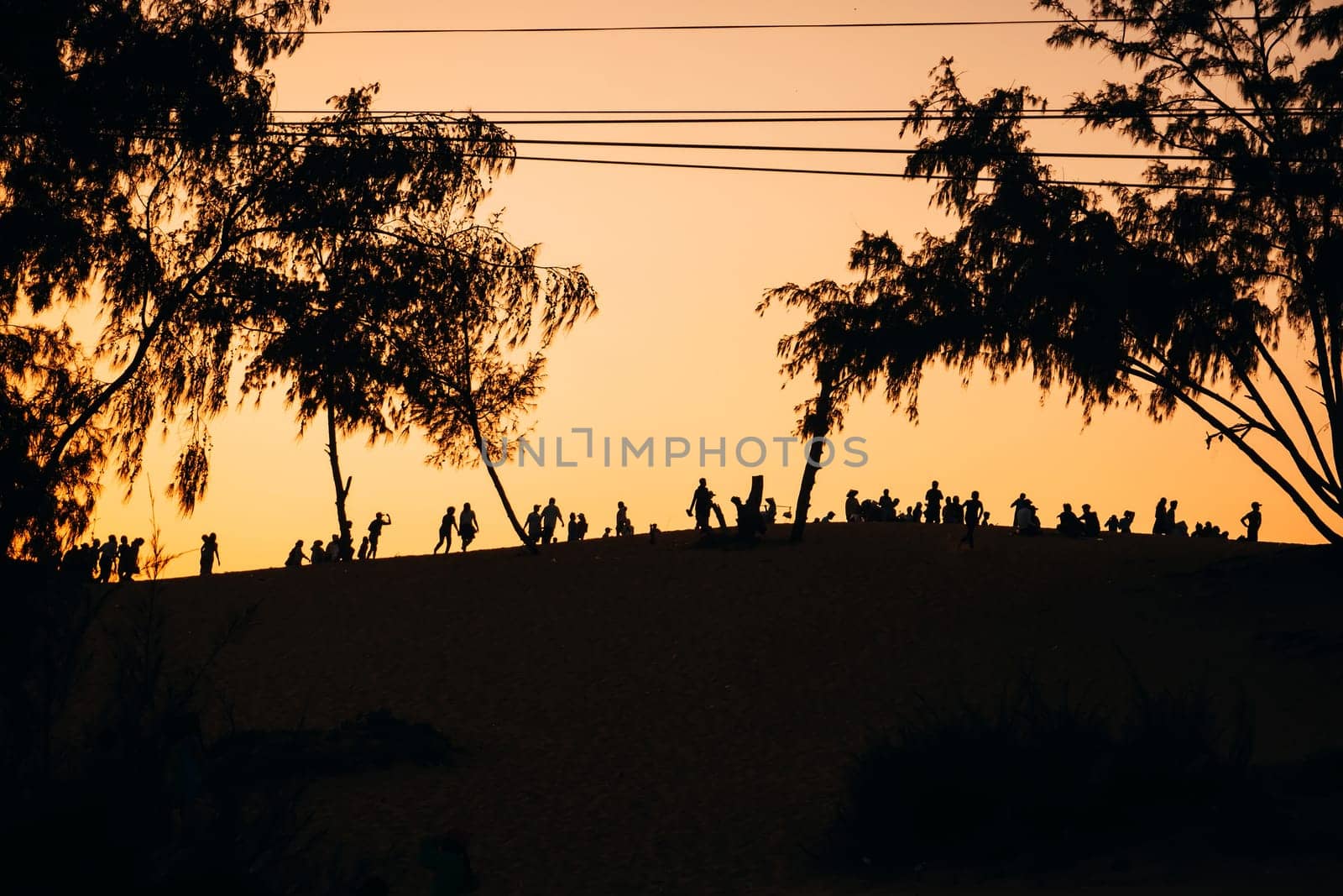 Silhouette of a group of people friends resting on the sand on the background of orange sunset