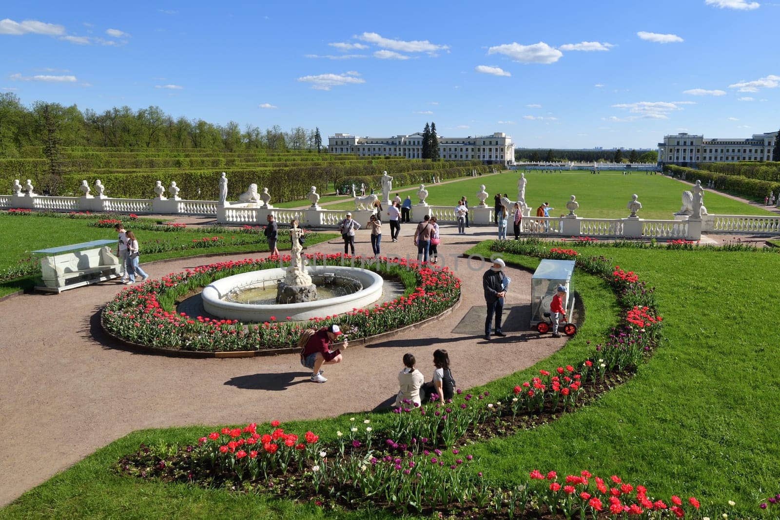Krasnogorsk, Russia - 1 May. 2024. The Large parterre and fountain - Cupids with a swan - in the Arkhangelskoye Estate Museum.