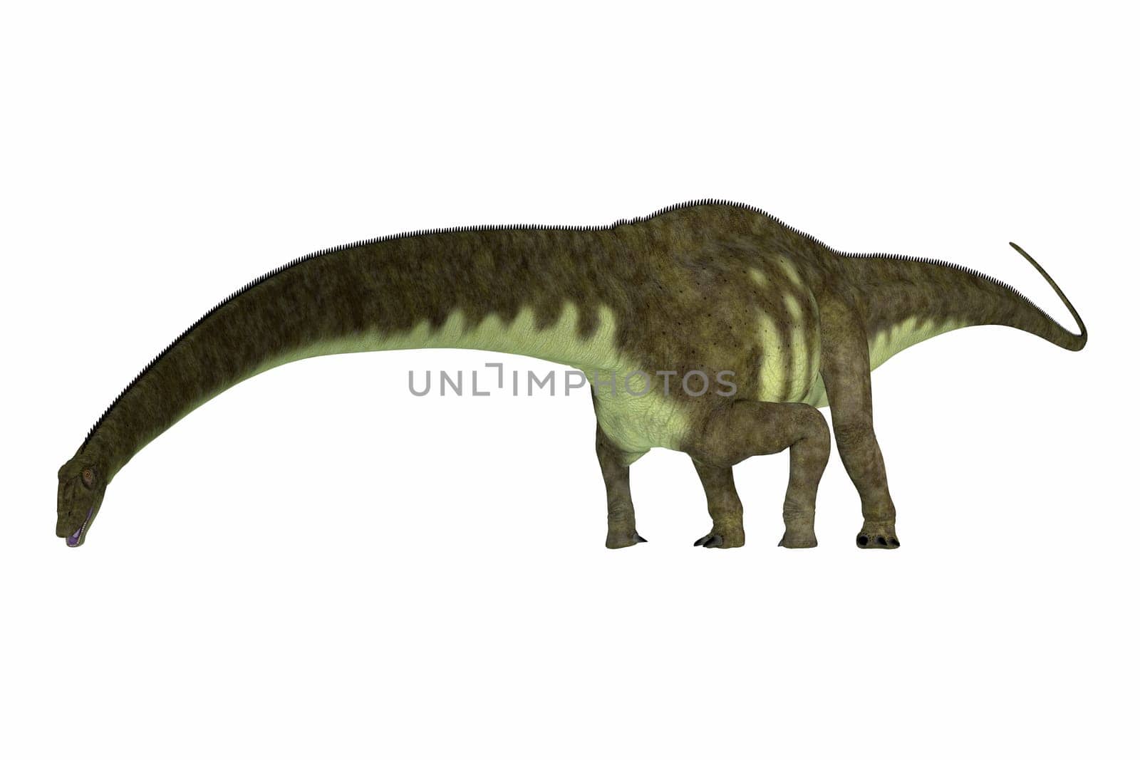 Mamenchisaurus was a herbivorous sauropod dinosaur that lived in the Jurassic Period of China.