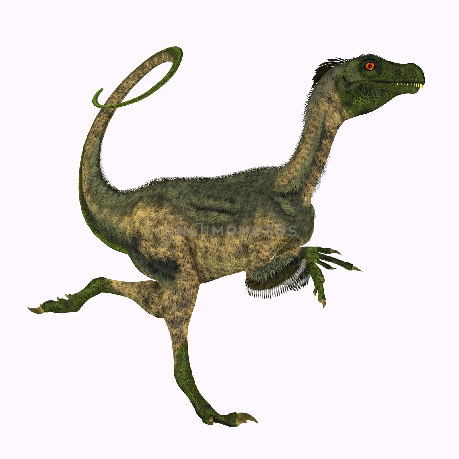 Ornitholestes Dinosaur Running by Catmando
