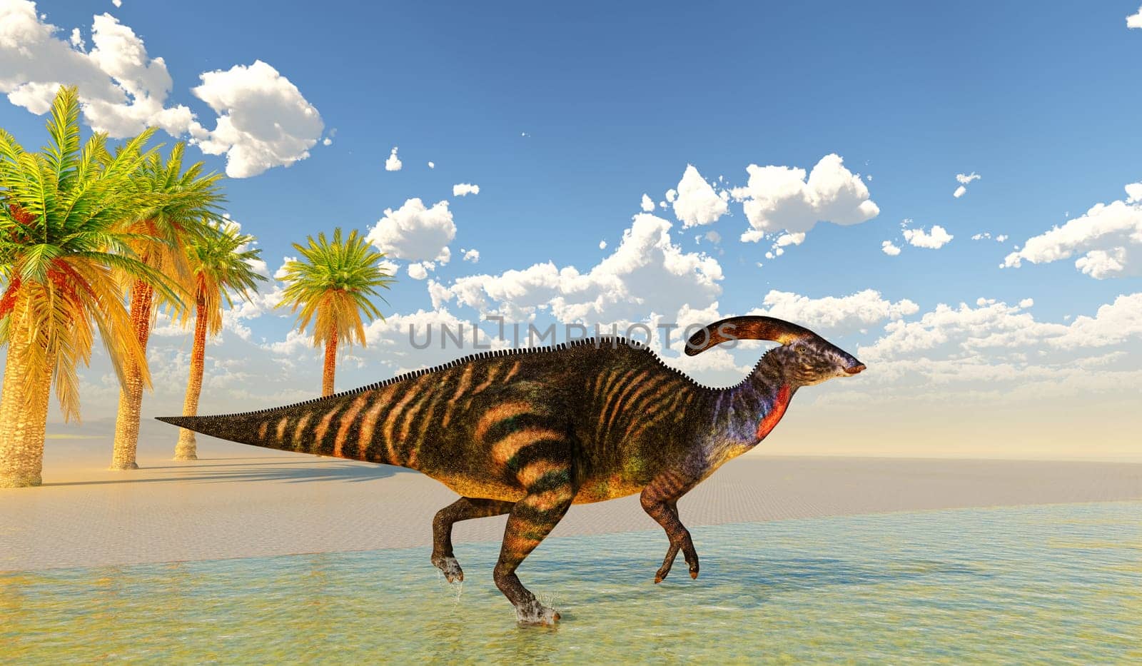 Parasaurolophus with a cranial crest was a herbivorous Hadrosaur dinosaur that lived in North America during the Cretaceous Period.