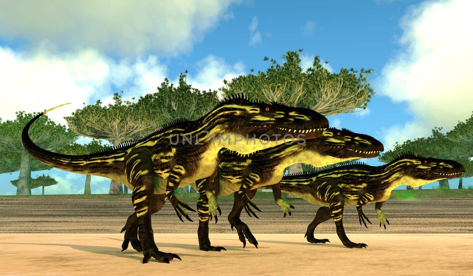 Torvosaurus theropod dinosaurs pass a grove of Dragon Blood trees on their search for prey to hunt.