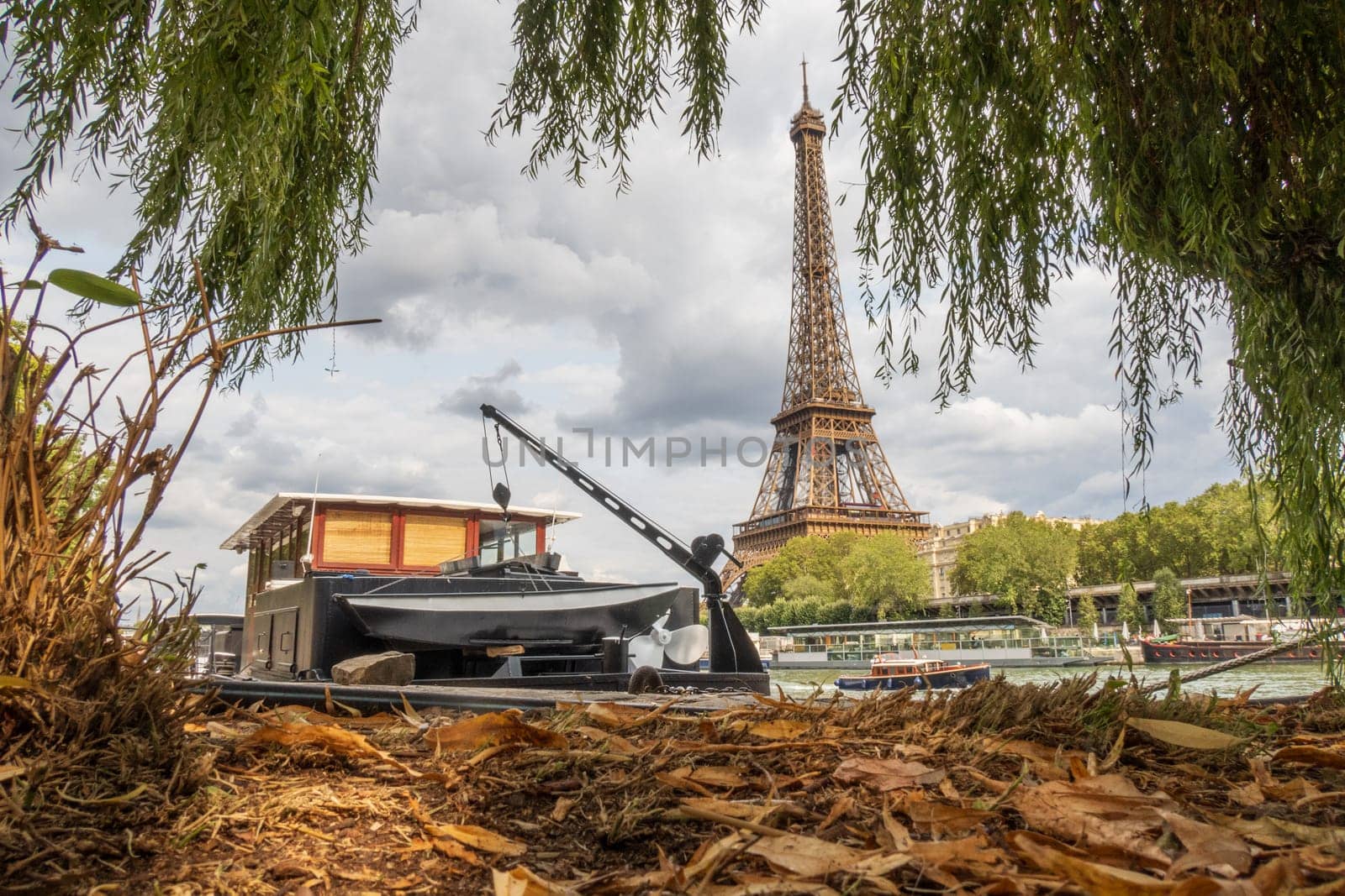 Eiffel Tower viewed from the ground of the banks of the Seine river on a cloudy day, above brown leaves of trees