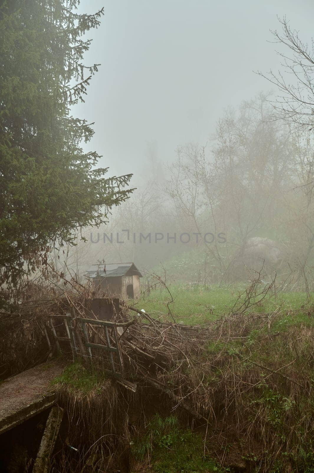 A misty natural landscape with a cozy wooden house in the distance, surrounded by grassy fields and scattered twigs and trees under a cloudy sky