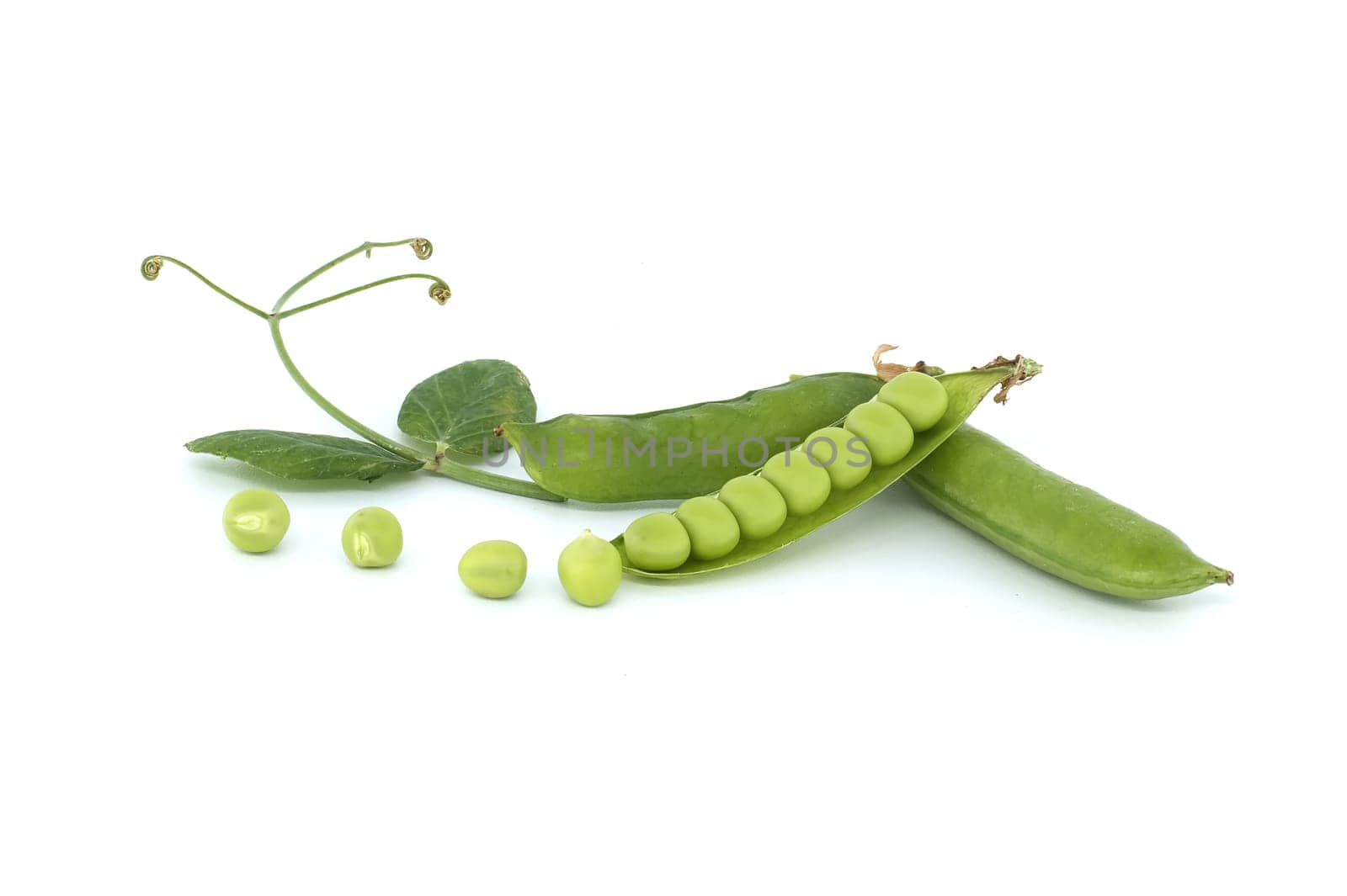 Open pea pod and round green peas inside in close up isolated on white background