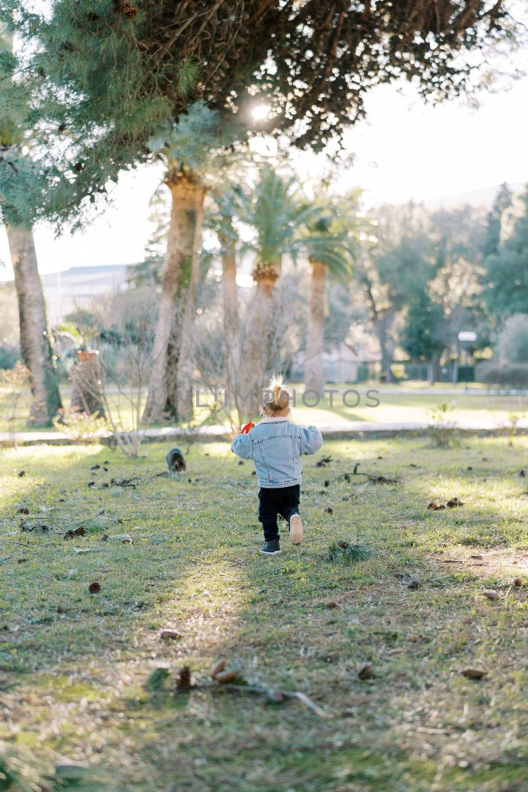 Little girl walks along the green grass in the park to the bushes. Back view. High quality photo