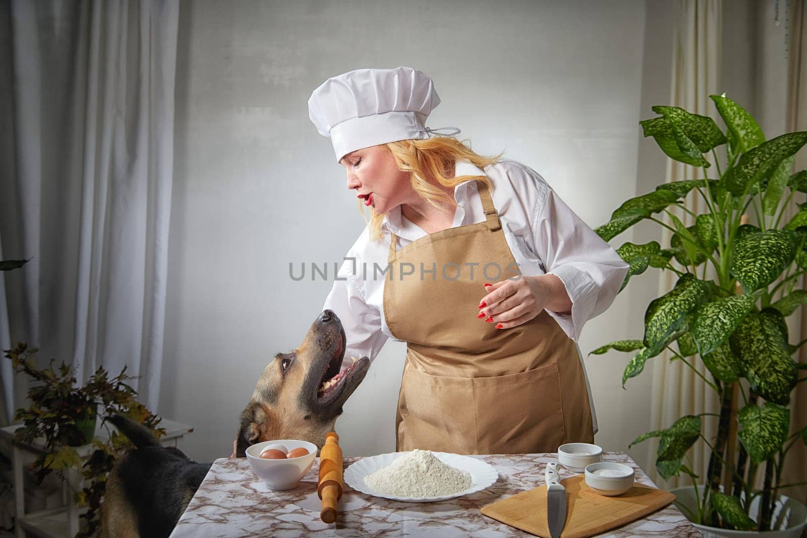 A fat funny female cook in a hat and apron in the kitchen with big shepherd dog. Good cooking, body positive, pet by keleny
