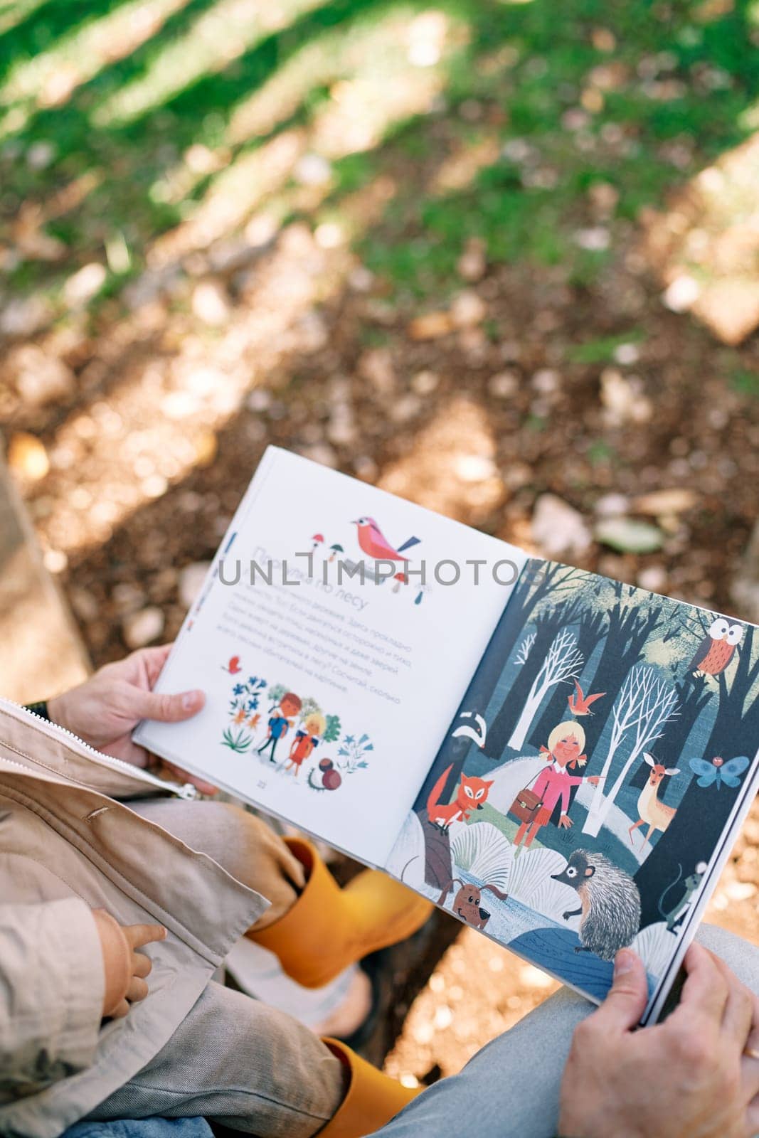 Dad reads a picture book to a little girl while sitting on a park bench. Cropped. Faceless. Back view. High quality photo