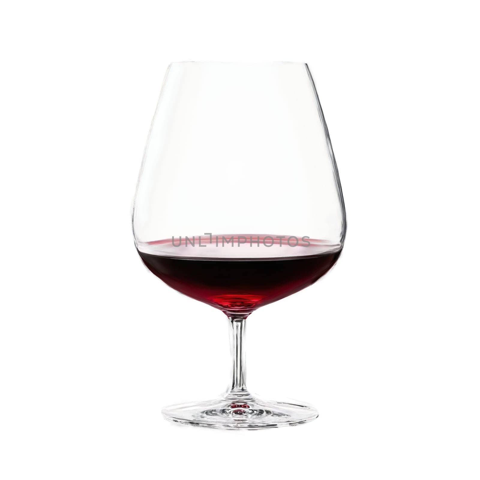 Rogaska Expert Pinot Noir glass handmade crystal wide rounded bowl brick red wine catching the by panophotograph