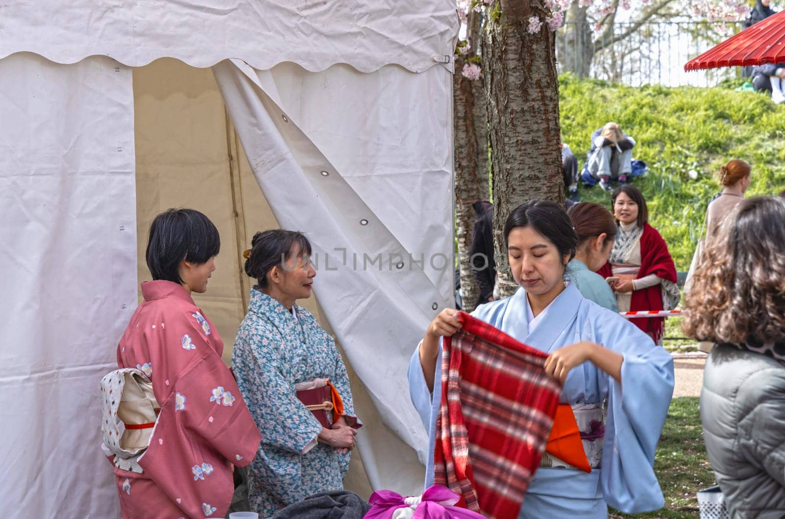 Japanese women in traditional Japanese clothing - kimono in the park at the sakura festival in Copenhagen, Denmark - April 21, 2024