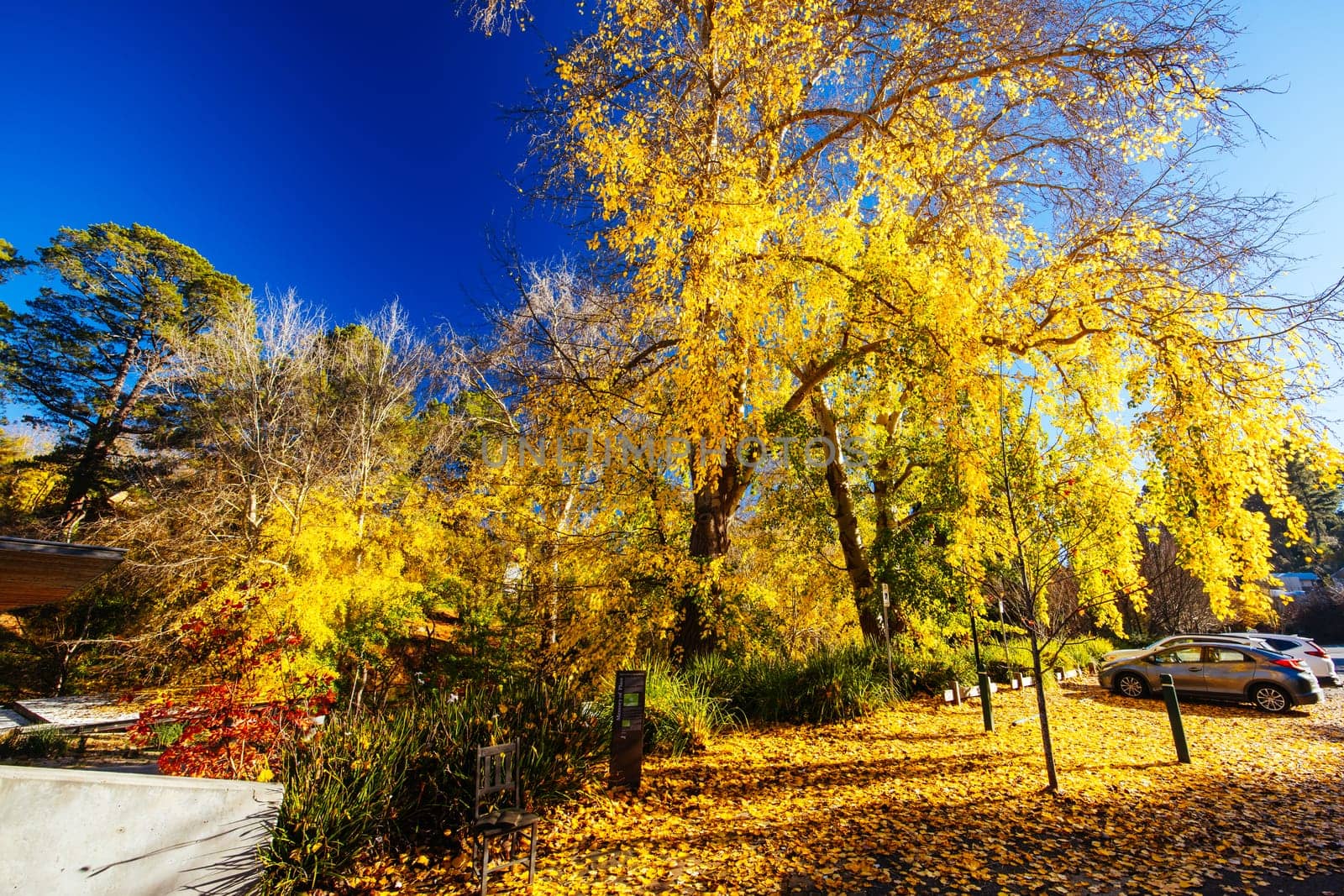 Hepburn Springs in Victoria Australia by FiledIMAGE