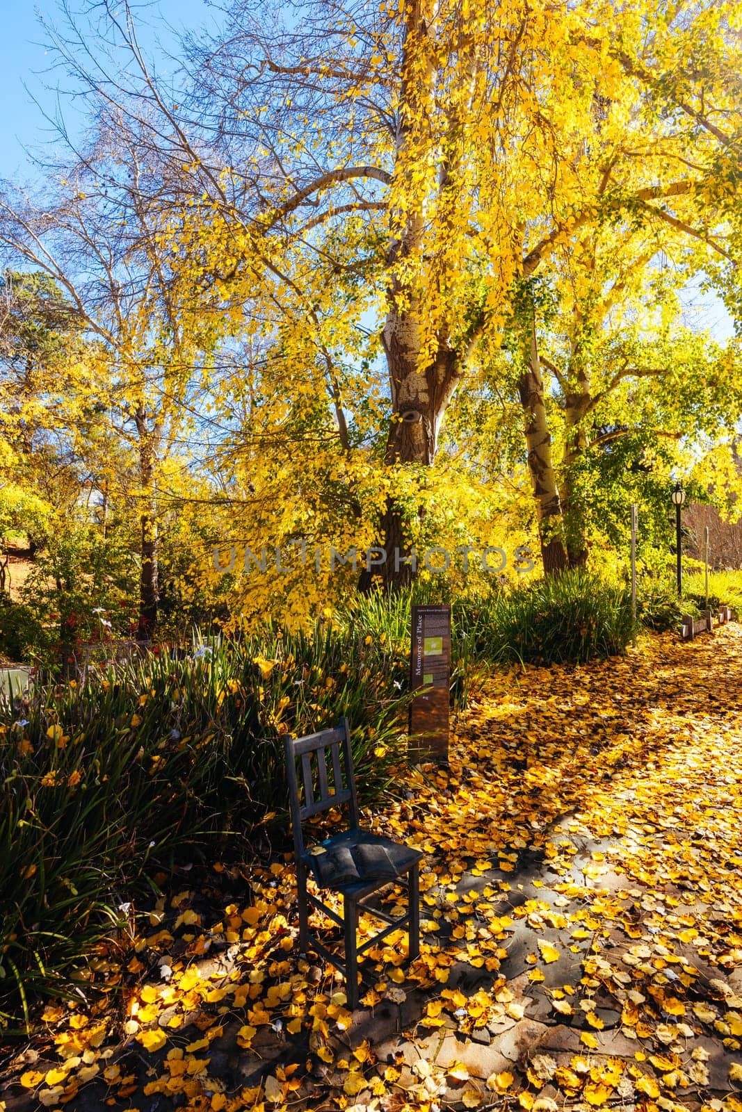 Hepburn Springs in Victoria Australia by FiledIMAGE