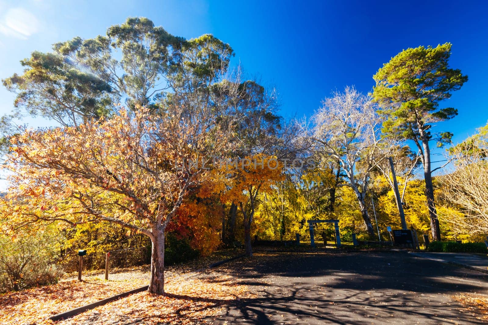 HEPBURN, AUSTRALIA - MAY 12 2024: Soldiers Memorial in Hepburn Springs Reserve on a cool late autumn morning in Hepburn, Victoria, Australia