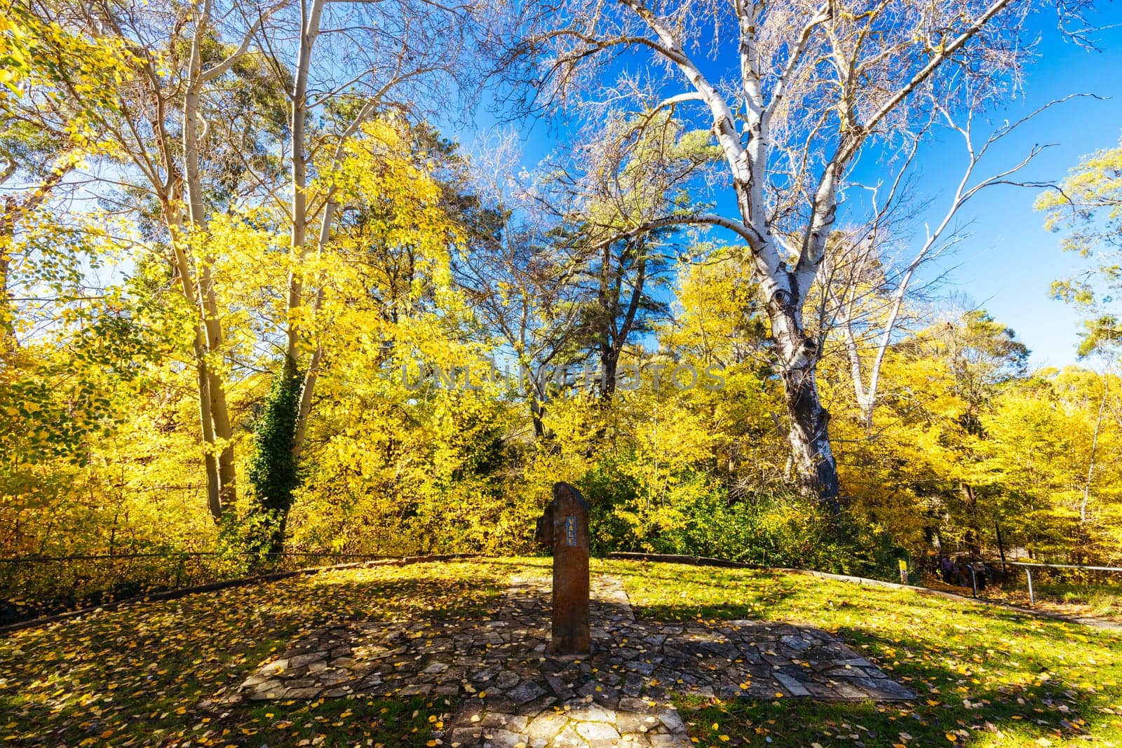 HEPBURN, AUSTRALIA - MAY 12 2024: Soldiers Memorial in Hepburn Springs Reserve on a cool late autumn morning in Hepburn, Victoria, Australia