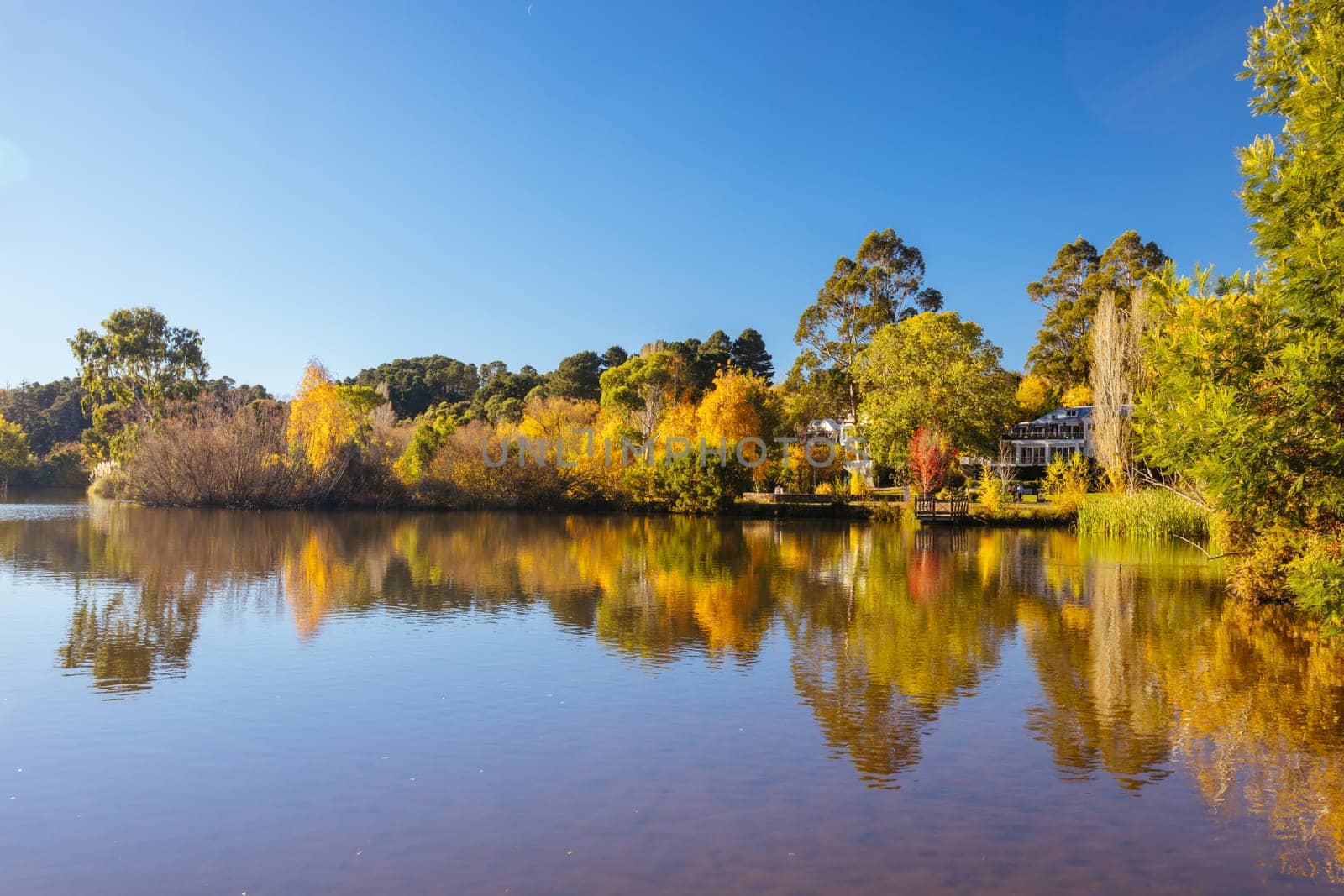 DAYLESFORD, AUSTRALIA - MAY 12 2024: Landscape around Lake Daylesford in a cool late autumn afternoon in Daylesford, Victoria, Australia