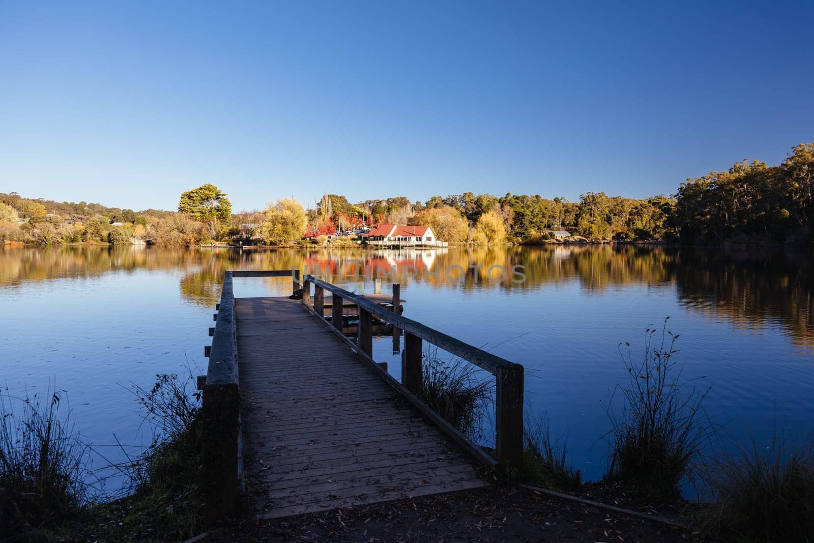 DAYLESFORD, AUSTRALIA - MAY 12 2024: Landscape around Lake Daylesford in a cool late autumn afternoon in Daylesford, Victoria, Australia