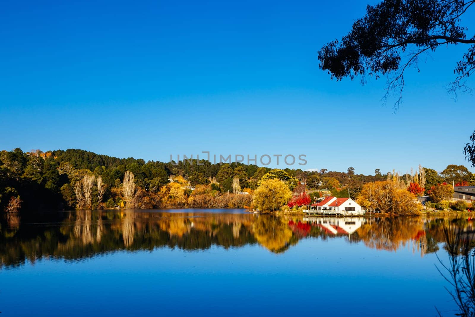 DAYLESFORD, AUSTRALIA - MAY 12 2024: Landscape around Lake Daylesford in a cool late autumn afternoon in Daylesford, Victoria, Australia
