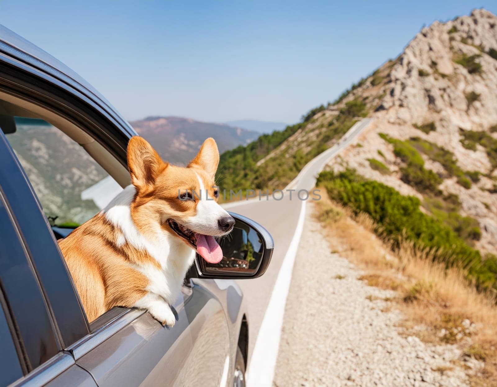 Sunny summer day on an empty mountain road. A happy corgi dog leans out of the window of a gray car. AI generated