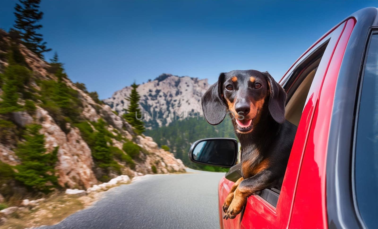 Sunny summer day on an empty mountain road. A happy dachshund dog leans out of the window of a red pickup. AI generated