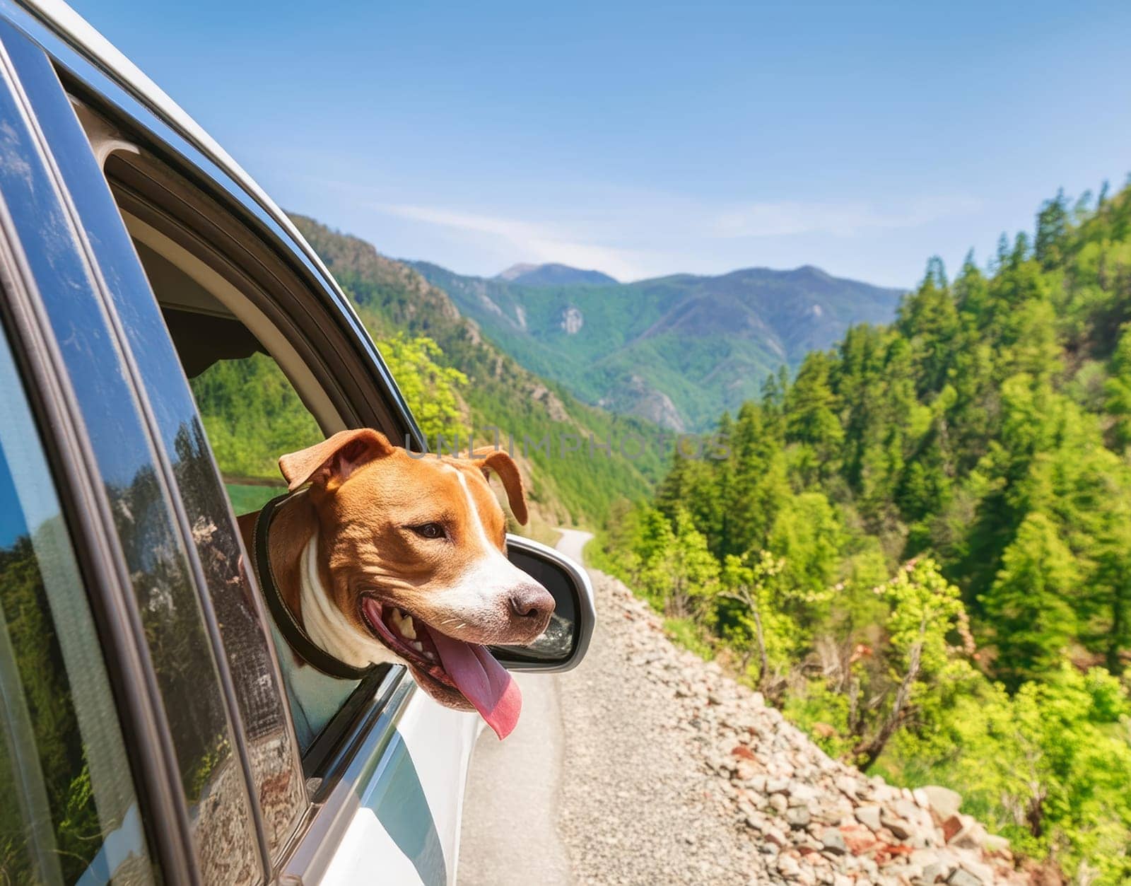 Sunny summer day on an empty mountain road. A happy pitbull dog leans out of the window of a white car. AI generated