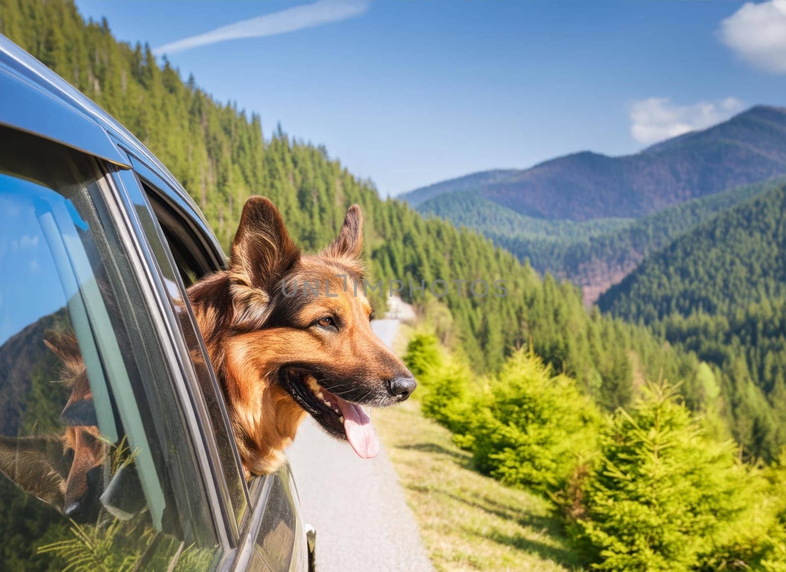 Sunny summer day on an empty mountain road. Happy German shepherd dog looking out from the car window. AI generated