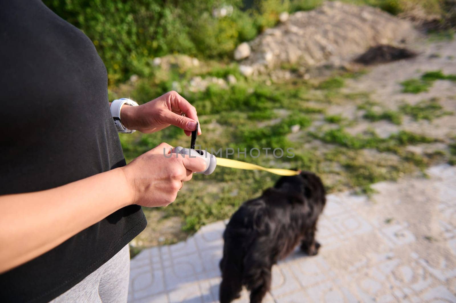 Woman with cute dog taking waste bag from holder in park. Close-up hands hold gray plastic holder for packet for cleaning pets feces, waste while walking the dog, People working as dog-sitter