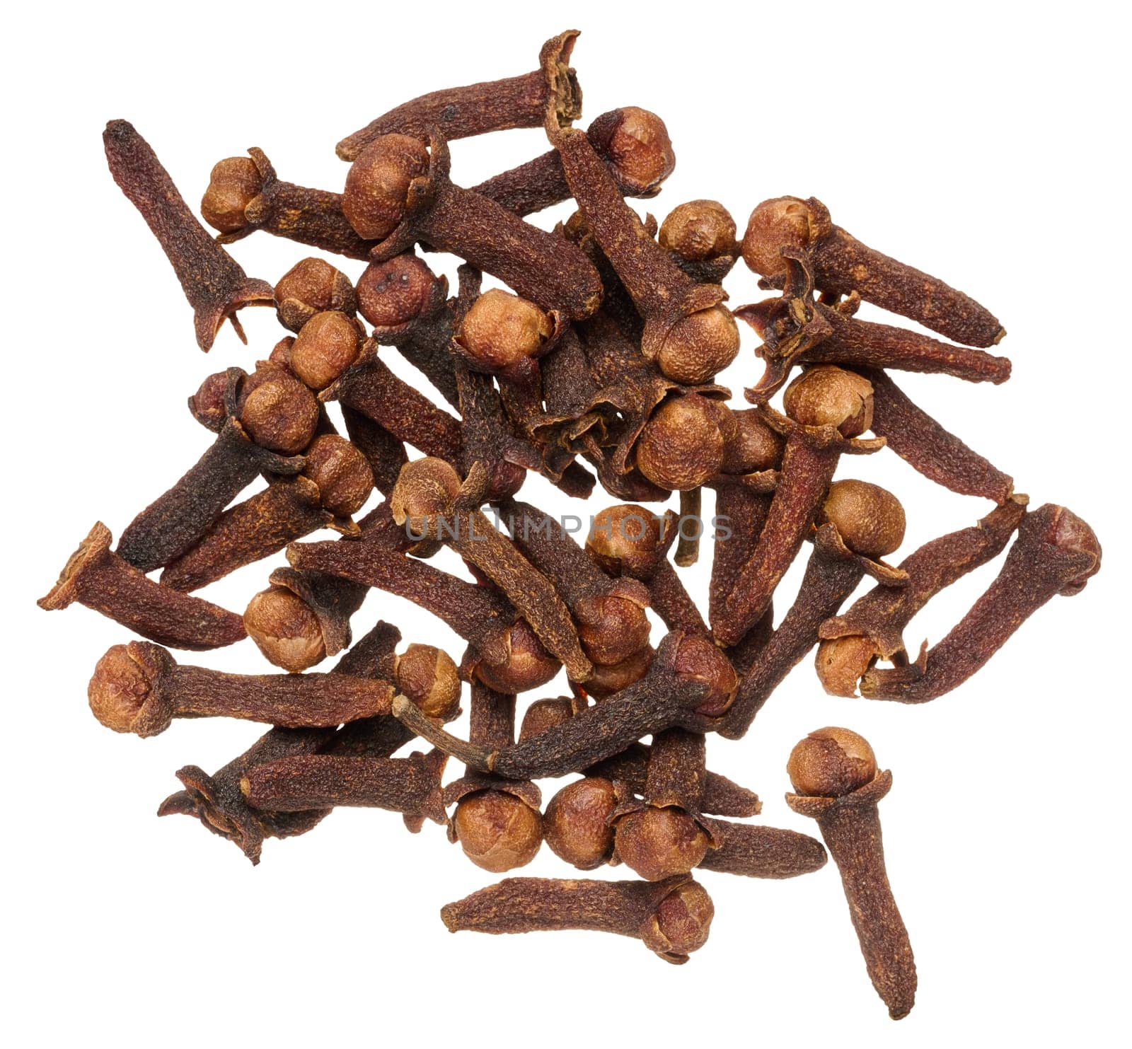Dried clove spice on isolated background by ndanko