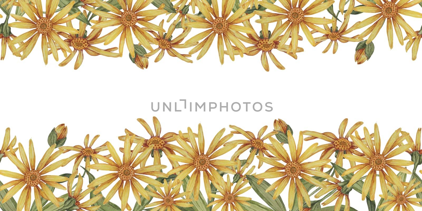 Arnica flowers seamless border, ribbon template clipart. Yellow floral watercolor illustration isolated for printing, tape, banner, packaging, label by Fofito