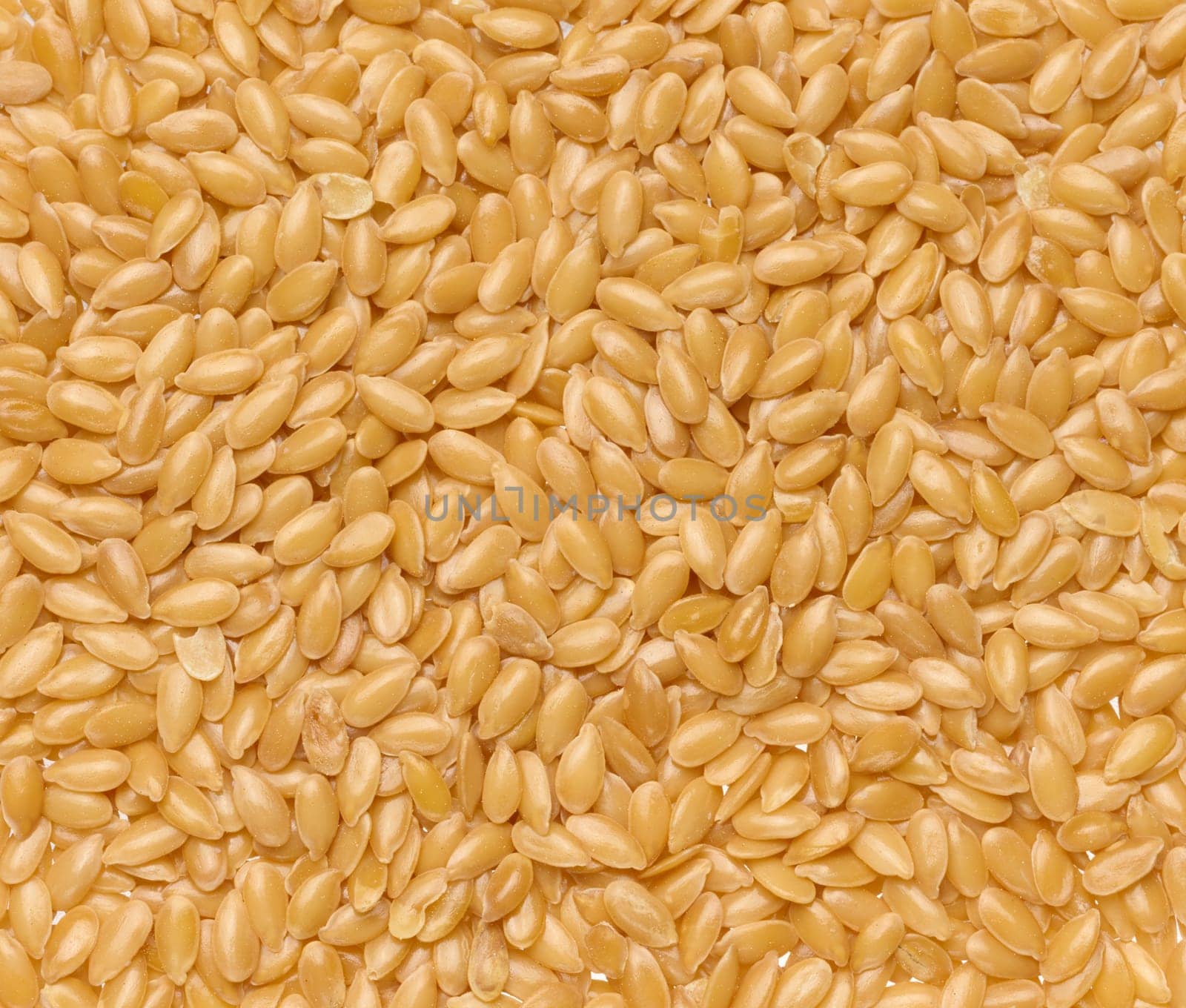 Texture of flax seeds, top view. Full frame