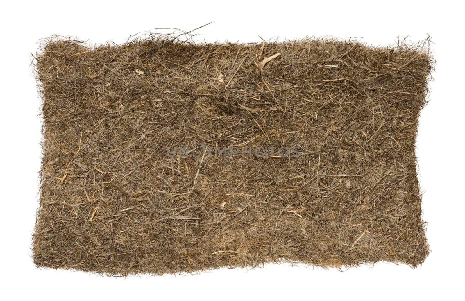Mat made of jute, hemp and coconut fibers for growing microgreens on an isolated background by ndanko