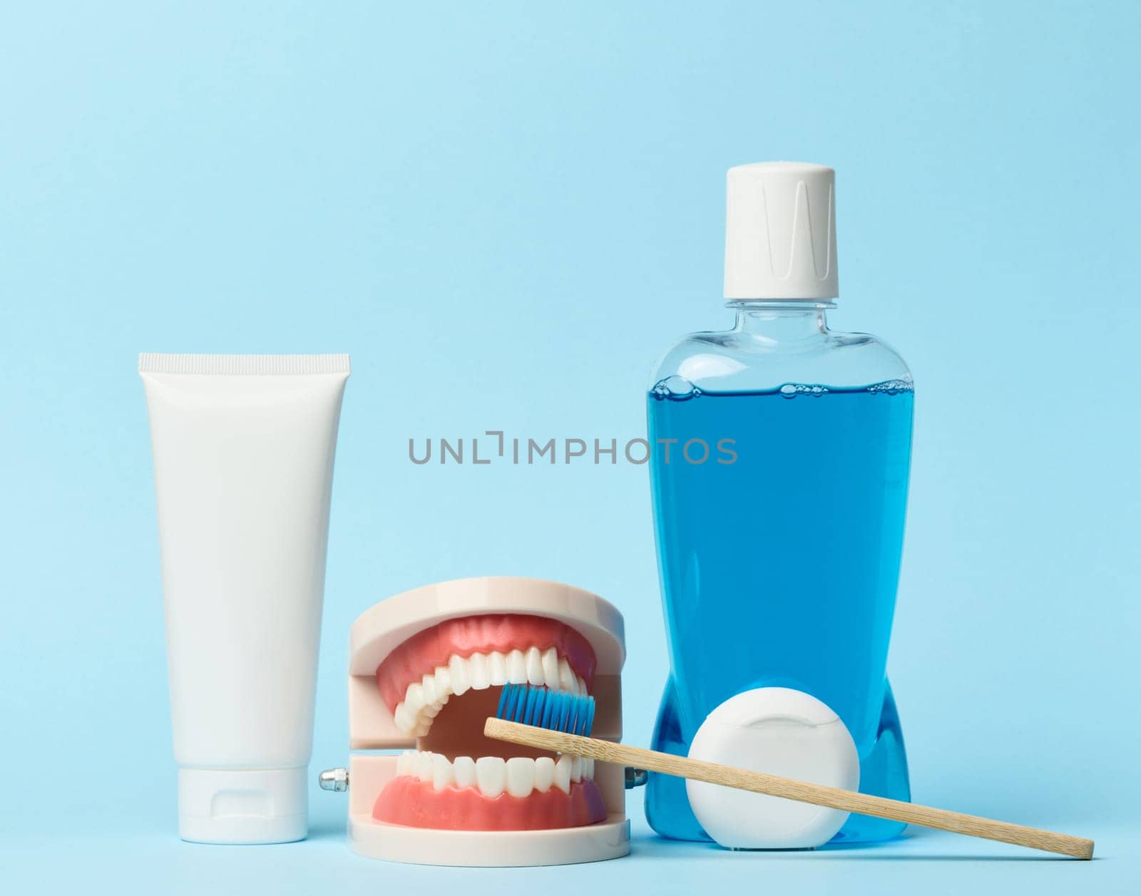 Human jaw model, mouthwash blue background, oral hygiene by ndanko