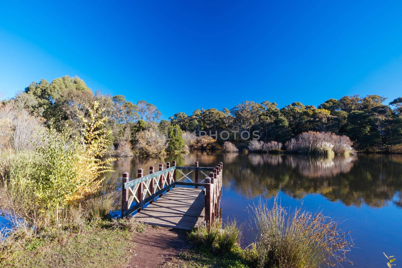 DAYLESFORD, AUSTRALIA - MAY 12 2024: Landscape around Lake Daylesford in a cool late autumn afternoon in Daylesford, Victoria, Australia