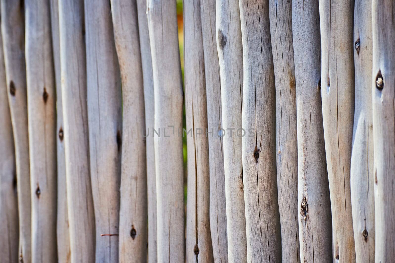 Weathered wooden fence in Fort Wayne, Indiana, showcasing natural, aged beauty and resilience.