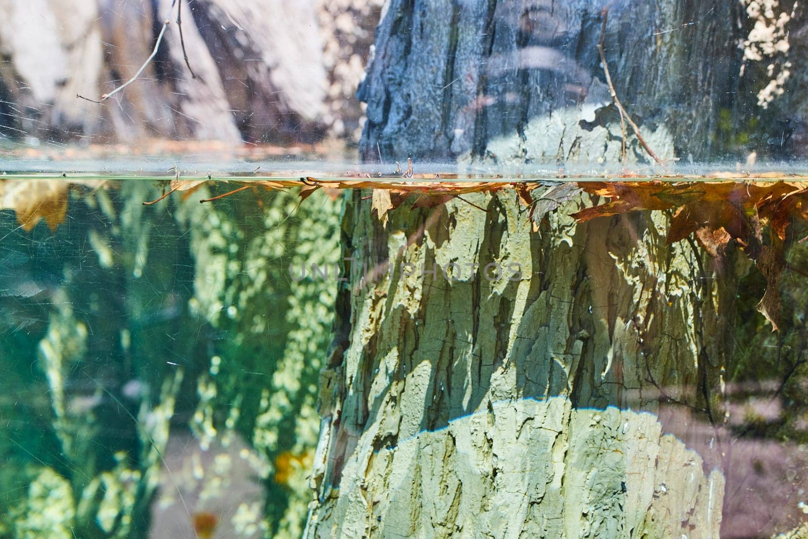 Serene water feature at Fort Wayne Children's Zoo blending natural textures and light play.