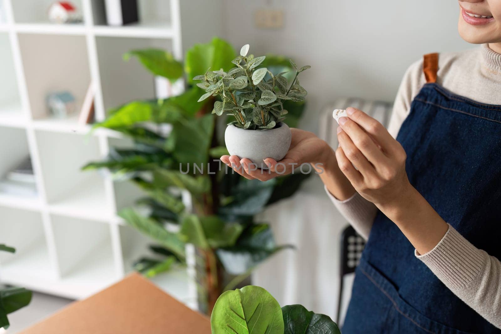 woman plant a flower in a pot to decorate the house to create a good atmosphere.