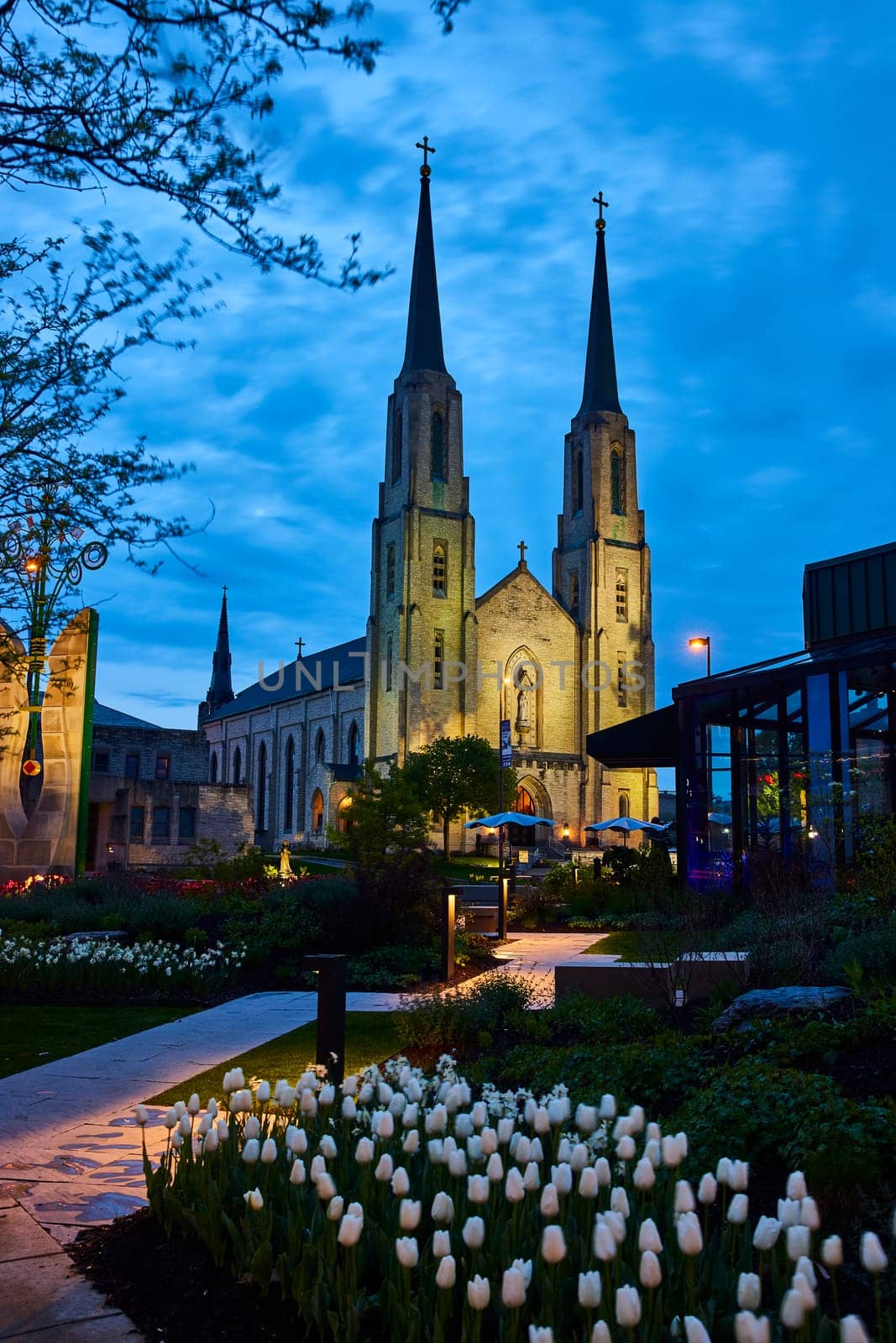 Twilight embraces a historic church with twin spires in Fort Wayne, set against a garden of white tulips.