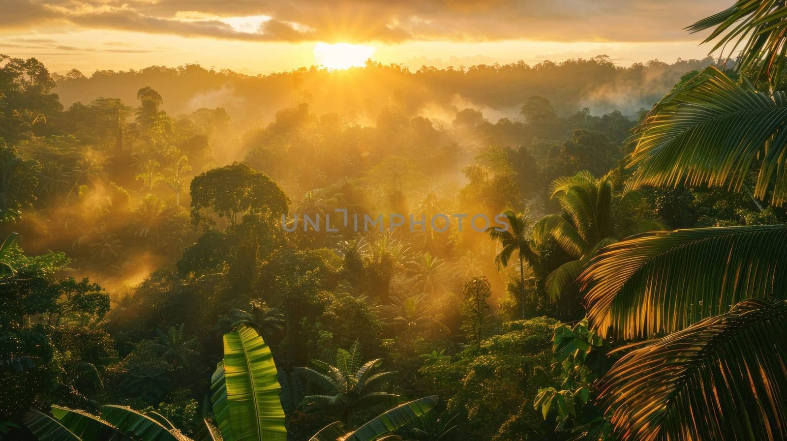 A mesmerizing sunset over a tropical rainforest, with golden sunlight filtering through lush green foliage and casting a warm glow over the tranquil landscape, capturing the magic and beauty of by golfmerrymaker