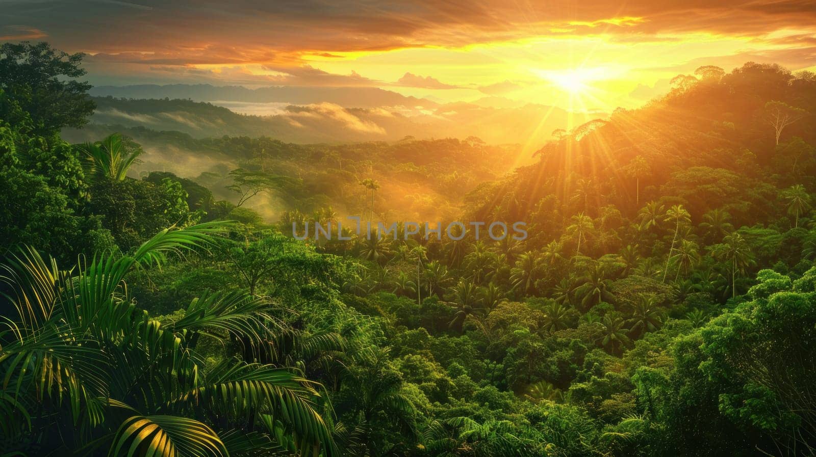 A mesmerizing sunset over a tropical rainforest, with golden sunlight filtering through lush green foliage and casting a warm glow over the tranquil landscape, capturing the magic and beauty of.