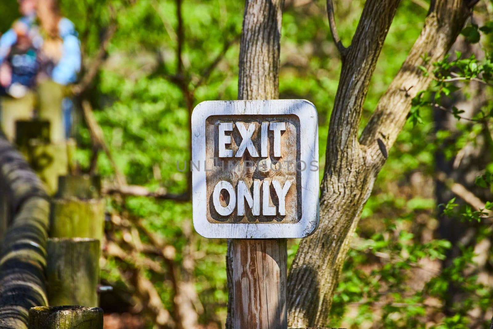 Rustic 'EXIT ONLY' sign on a wooden post in lush Fort Wayne Children's Zoo, guiding visitors gently.