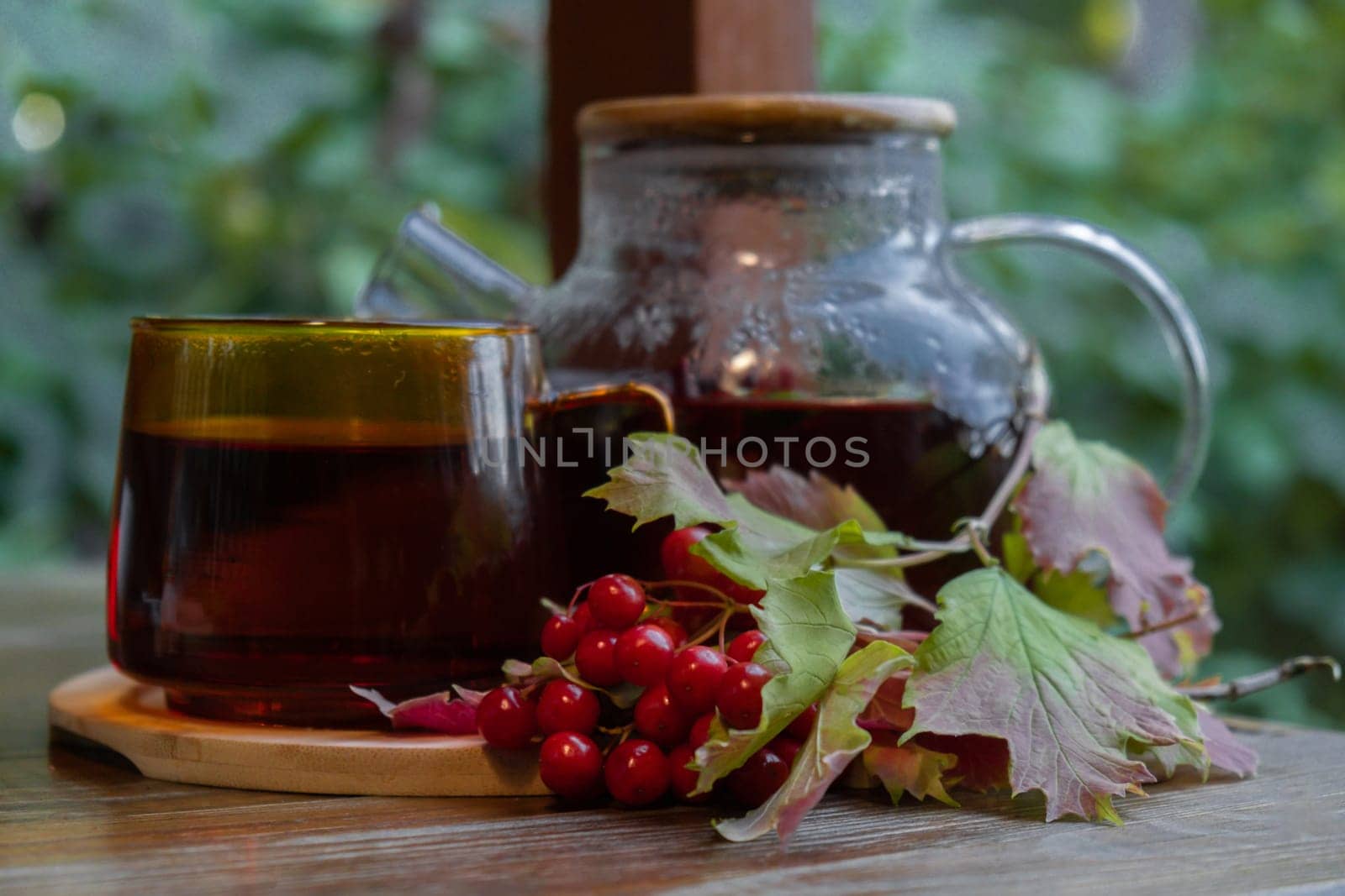 Guelder rose Viburnum red berries tea still life on table in green garden background. Healthy hot drink benefits. Natural organic aromatic drink in cup. Home-grown immunity-boosting herbs for tea. Autumn winter warming drink by anna_stasiia