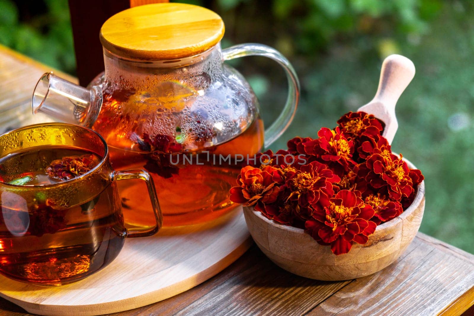 Marigold tea still life on table in green garden background. Healthy hot drink benefits. Natural organic aromatic drink in cup. Home-grown immunity-boosting herbs for tea. Autumn winter warming calming drink