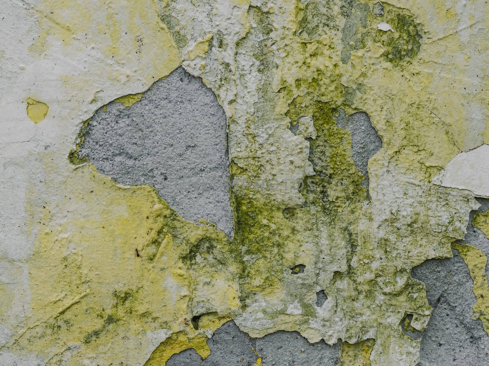 texture of old painted concrete with cracks. Grunge style cement wall background